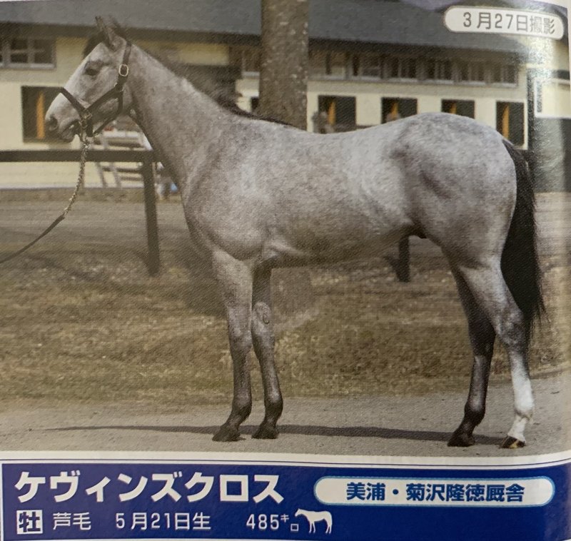 Pog特集 注目2歳馬 一口馬主マスターb Note