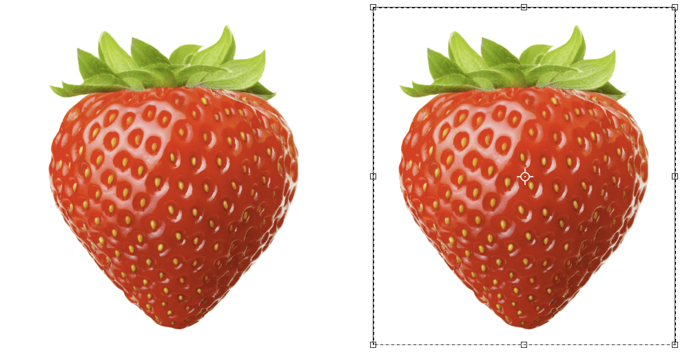 スクリーンショット 2020-05-19 16.58.24