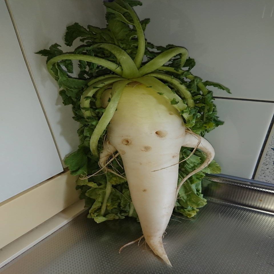 かわいい野菜 みんなのおうち時間 ぽかぽかつどいの広場 Note