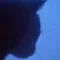 藤凪志翠 ❘問いをたてる人