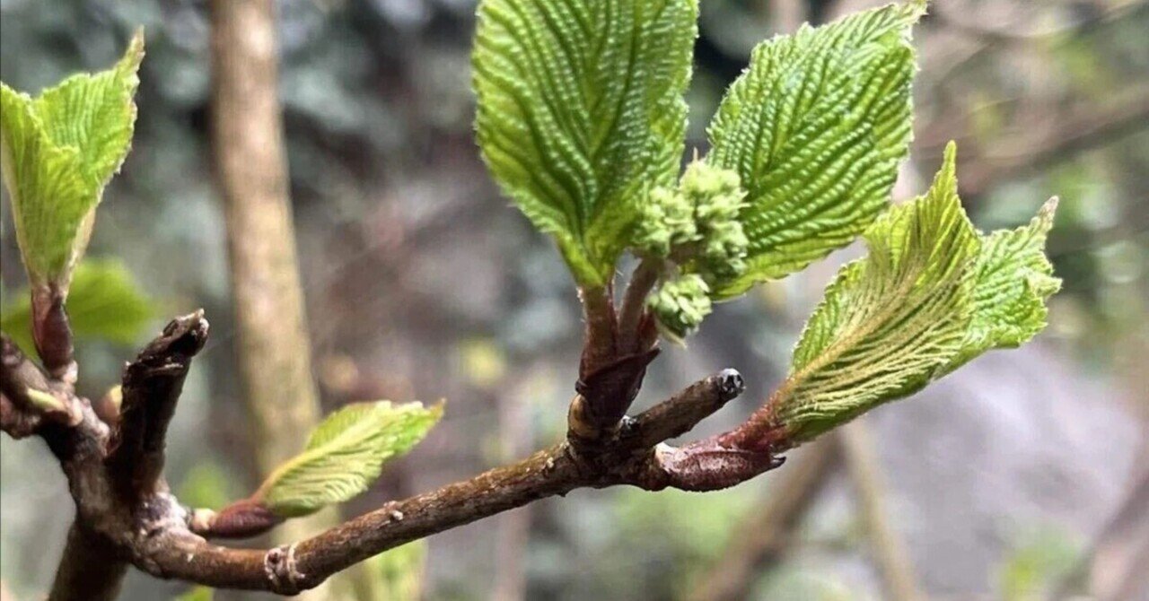 今朝の会社　こんな空気でお迎えします。