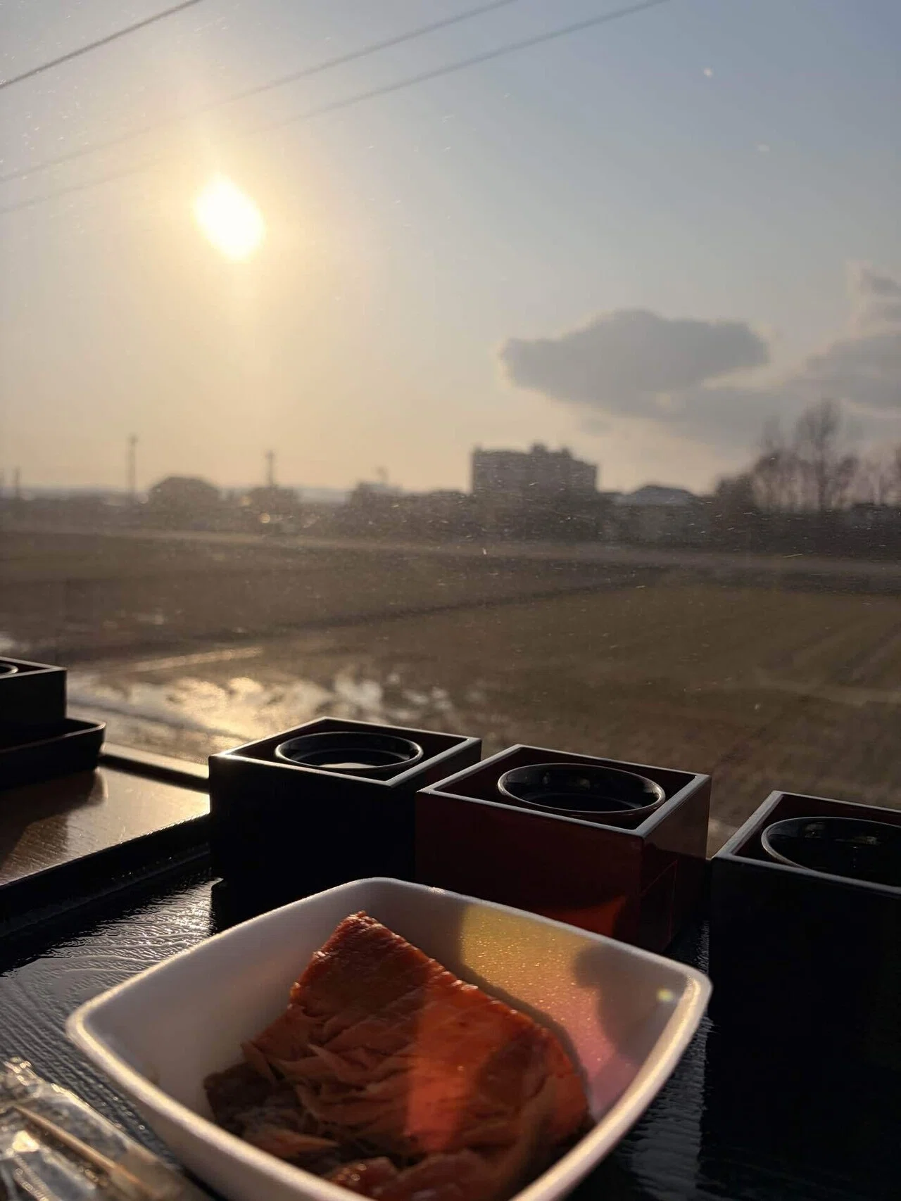 日本酒を堪能！越乃Shu＊Kura乗車記🍶｜おさかなかえる