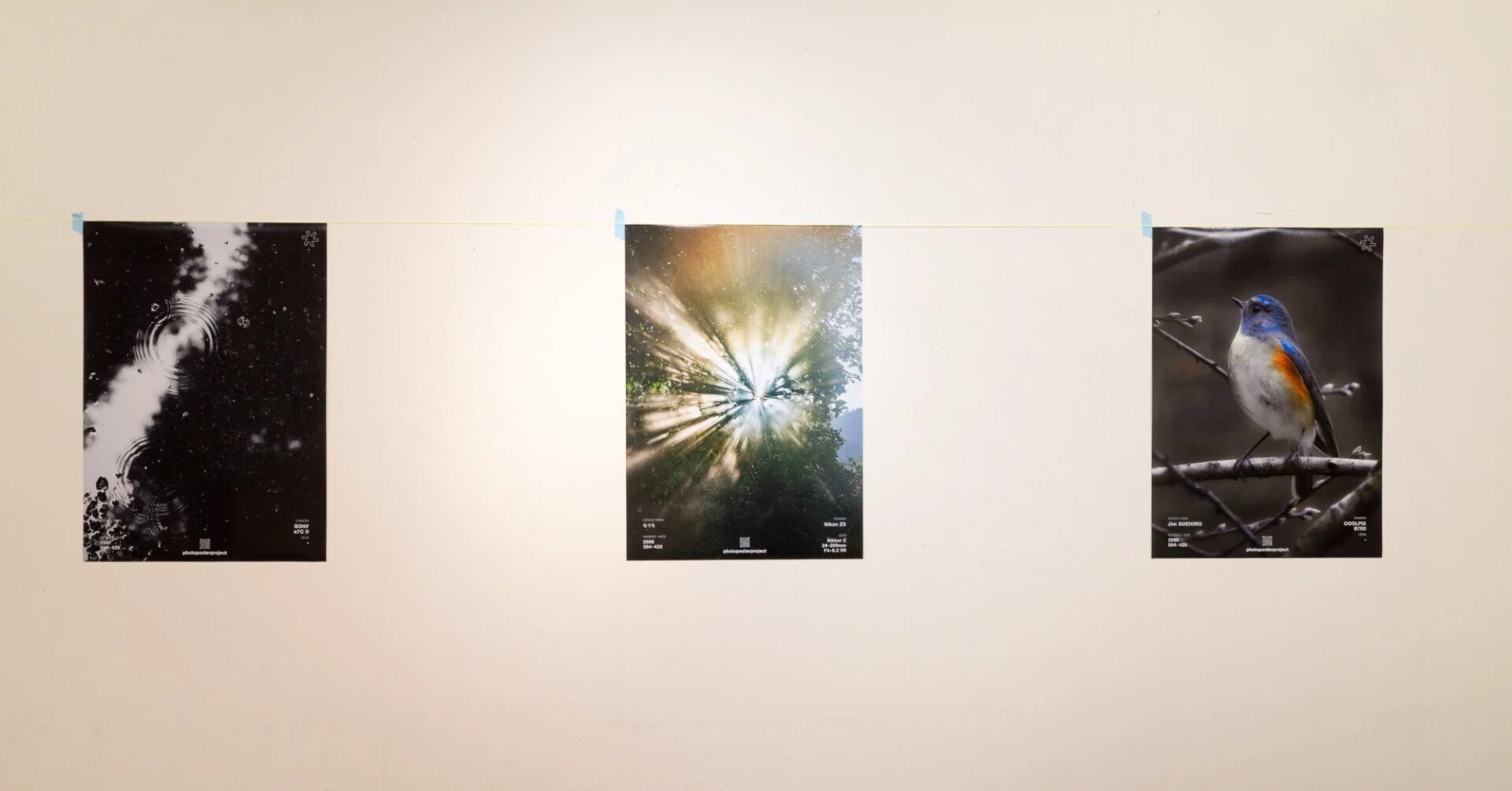 ppp［photo poster project］写真展示イベントに参加してきました｜なうち