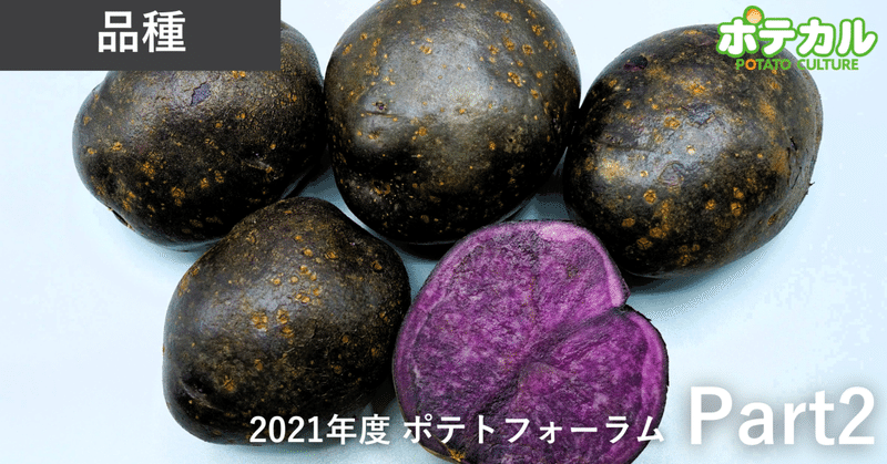 紫肉色のカラフルポテト「ノーブルシャドー」