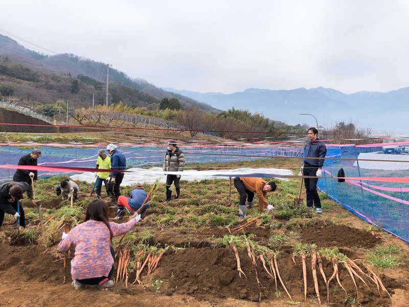 来年は食料不足 コロナで閉ざされた来年の危機のために 農業で地域活性化したい 地域と東京を繋げる新コミュニティ 東京アグリ 部 四国愛媛 デグトモ 元戦場カメラマン社長 Note