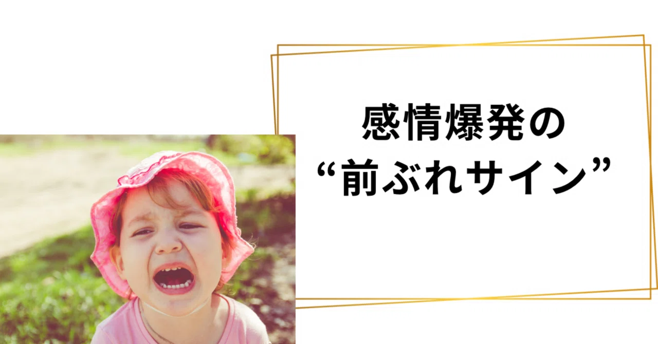 The 'Early Warning Signs' of an Emotional Meltdown｜保育士ママ@