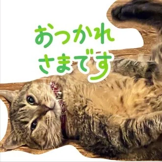 しろくま