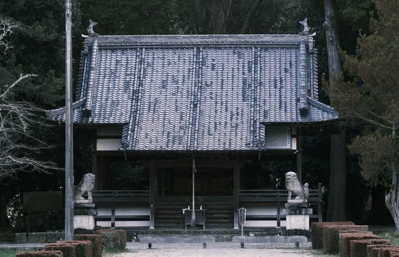 天目一箇神 アメノマヒトツノカミ｜sakanouetakashi