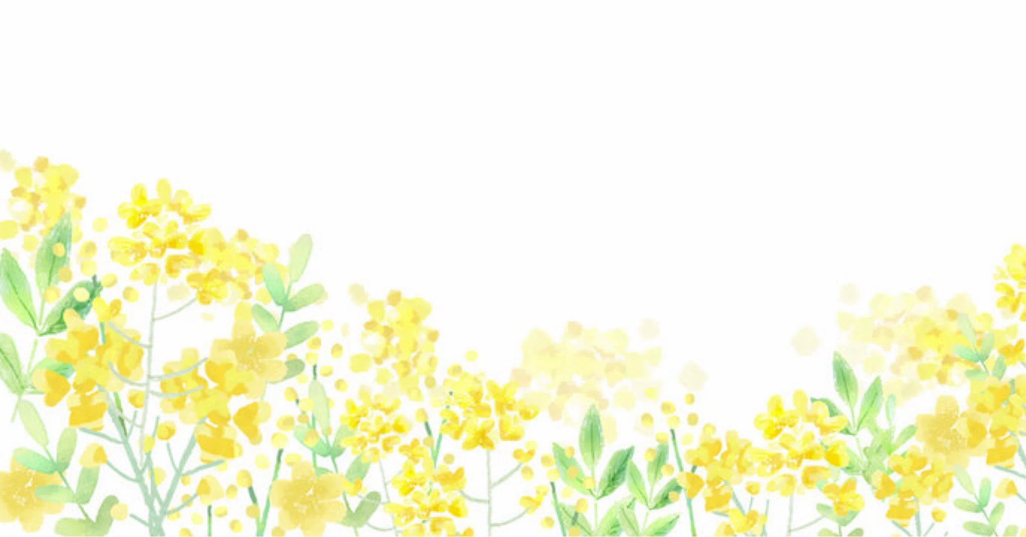 kouyu 小さな「？」を大事にする｜note