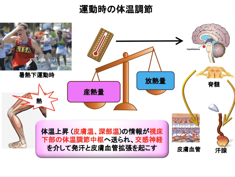 スクリーンショット 2020-05-19 20.27.50