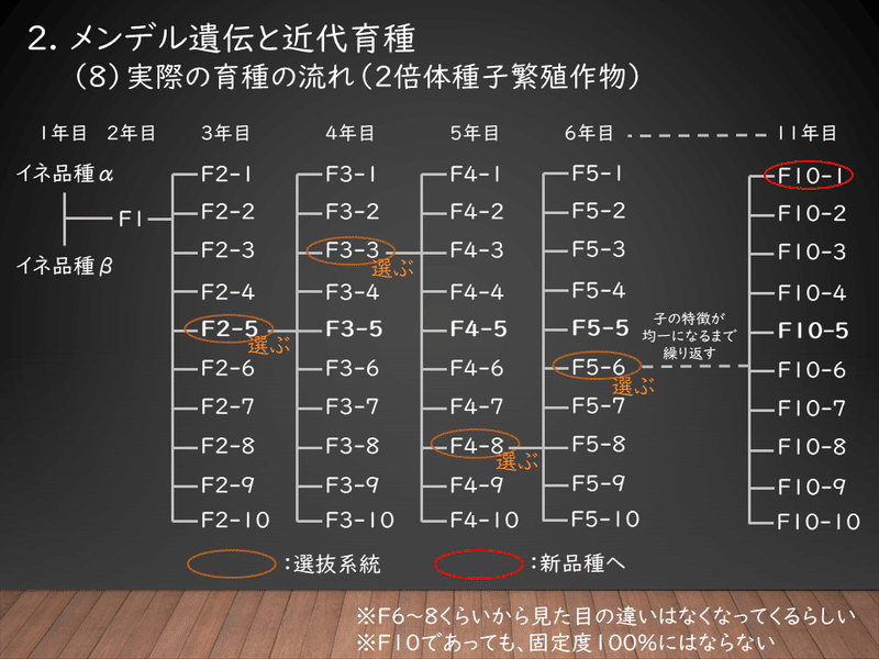 品種改良って何なのさ メンデル遺伝と近代育種 あかまる Note 品種改良って何なのさ メンデル遺伝と近代育種 あかまる Note