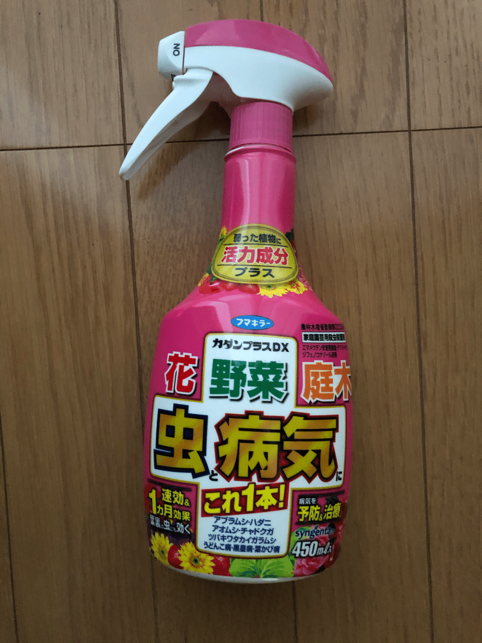 紫陽花 0519 アングラース Note 紫陽花 0519 アングラース Note