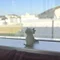 シカツノノコ