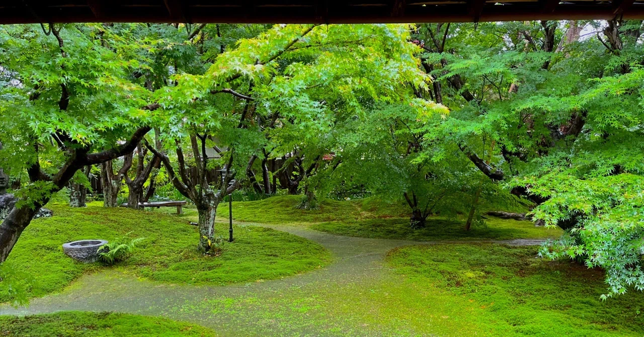 女性の残した日本庭園〜『所作と庭園：生を創造する女性たち』を聴講して〜｜#おにわさん
