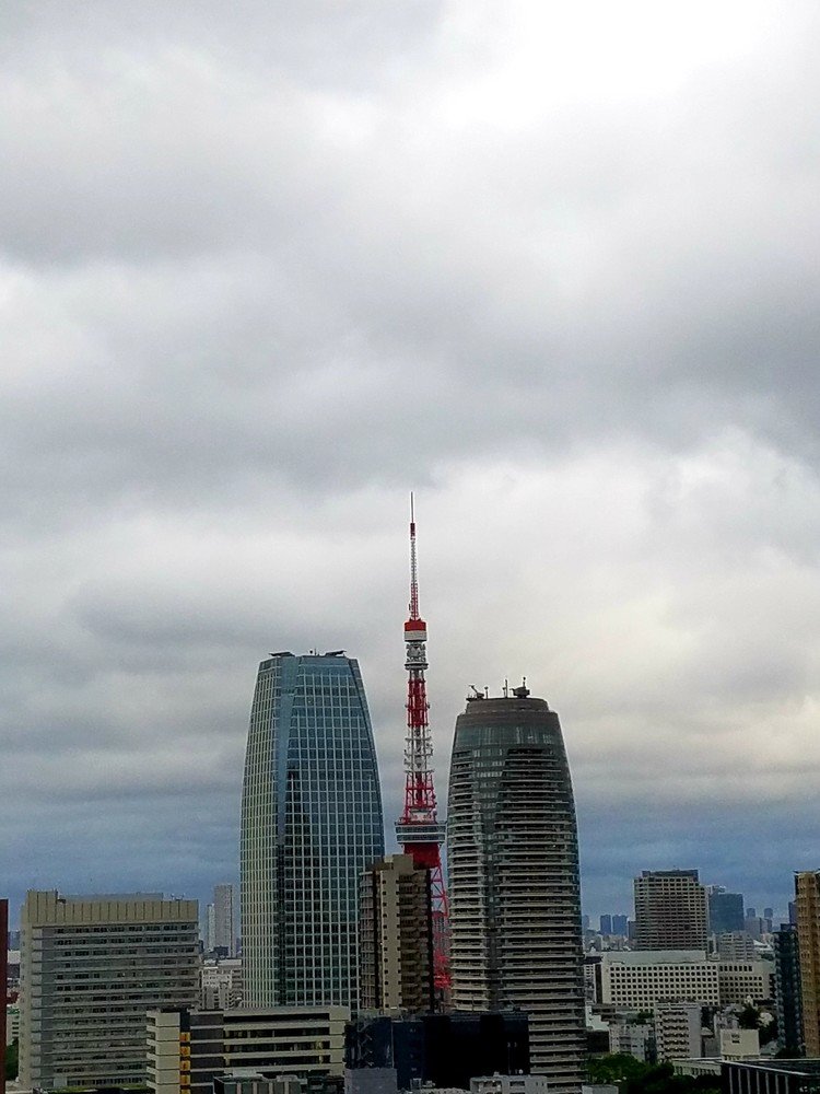 #20200519 #今日の東京タワー 
雨上がりの東京タワー🗼さんグレイジェントルです。

#東京タワー#東京 #tokyo #tower #japan 
#tokyotower #TorrediTokyo #Tourdetokyo #Токийскаябашня #TokyoKulesi #kekūkuluʻotokyo #πύργοςτουτόκιο #โตเกียวทาวเวอร์ #tokiontorni #東京鐵塔 #🗼🇯🇵 #🗼