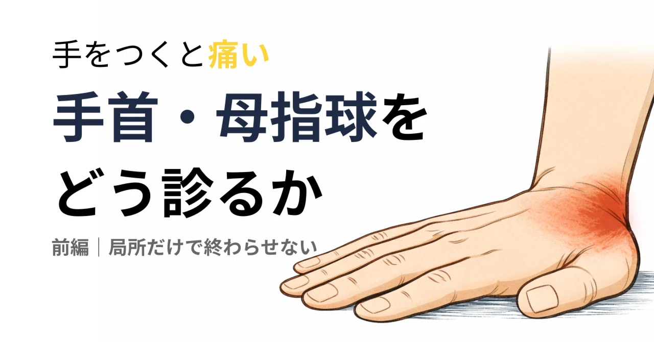 前編｜手をつくと痛い手首・母指球をどう診るか｜局所だけで終わらせないための整理｜灯の歩みの記録