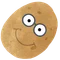 文大太