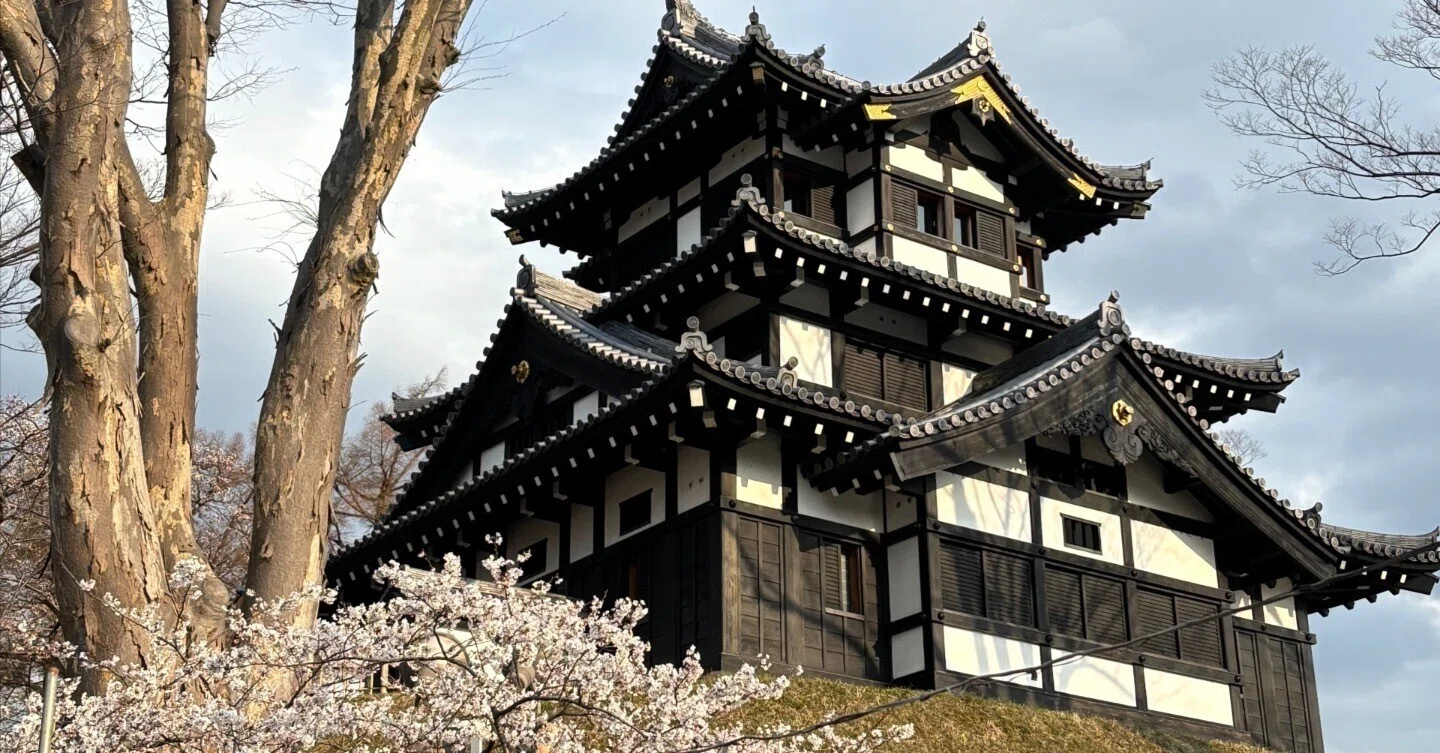 城 日本3大夜桜の城・高田城〜お城マニアへの道 No.89｜城と食の案内人 更