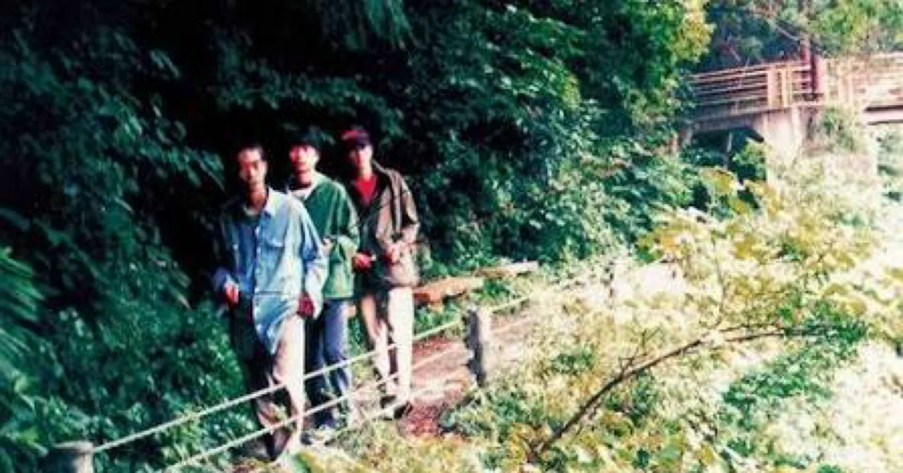 アルバムレビュー】フィッシュマンズ「LONG SEASON」｜re:sonance