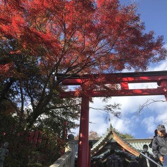走り出せ前向いて かじかむ手で空に描いた 君の未来に祝福の灯りともす 切り開け その手で 聞こえてるかい この声が 素直に笑える事 抱きしめ 今 走り出せ Long Shot Party あの日タ つくる君 Note