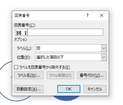 図のキャプション2