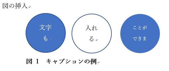 図のキャプション3