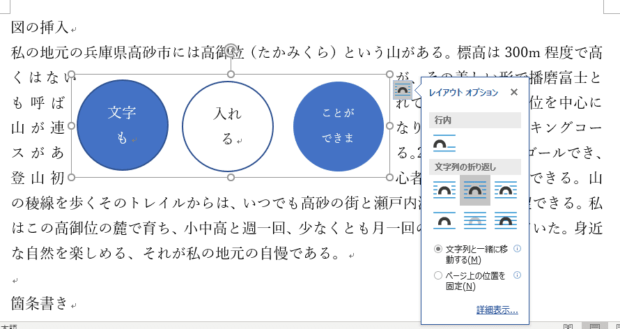 図のレイアウトオプション