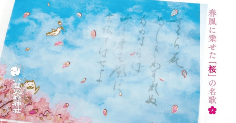 菅原道真公の愛情に応えた「桜」のはなし🌸