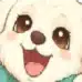 ありちゃん先生🐾｜肩こり・腰痛｜あん摩マッサージ指圧師・鍼灸師