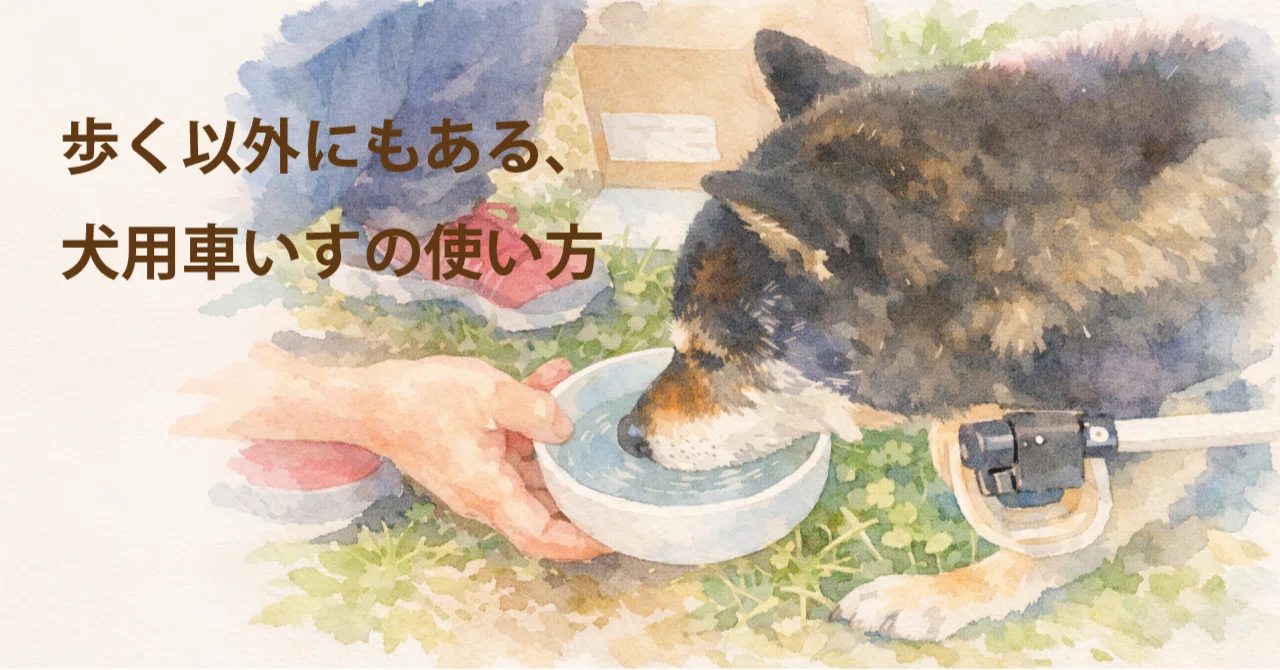 歩く以外にもある、犬用車いすの使い方