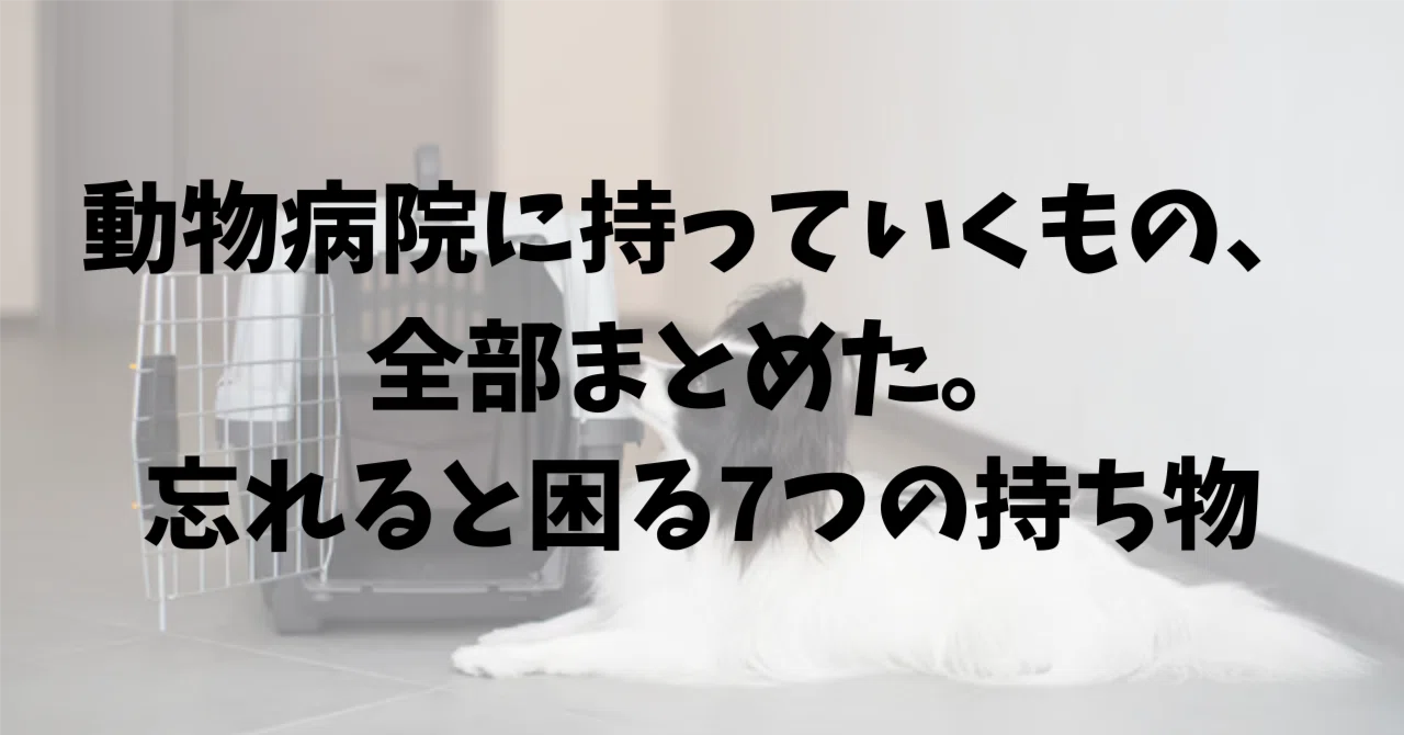 動物病院に持っていくもの、全部まとめた。忘れると困る7つの持ち物 