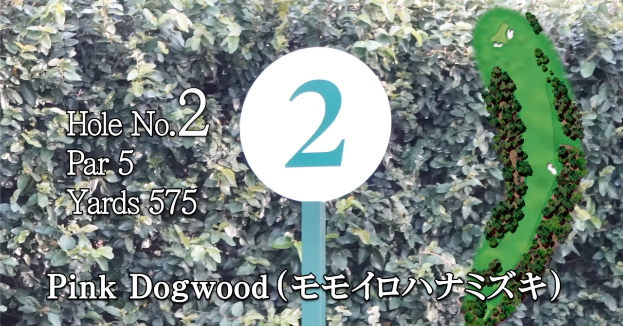 マスターズ・オーガスタナショナルゴルフクラブ 2番ホール（Par 5／575