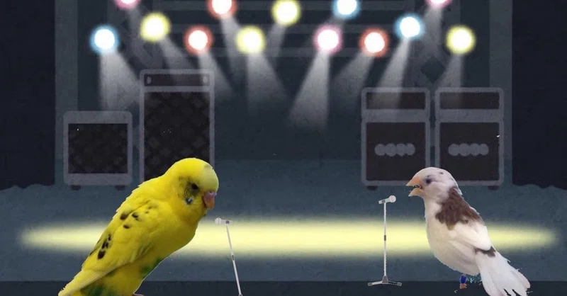 野鳥の鳴き真似 の新着タグ記事一覧 Note つくる つながる とどける