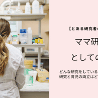 リメンバー ミー の ウン ポコ ロコ って本当はどう言う意味なの Eiko Programming Note リメンバー ミー の ウン ポコ ロコ って本当はどう言う意味なの Eiko Programming Note