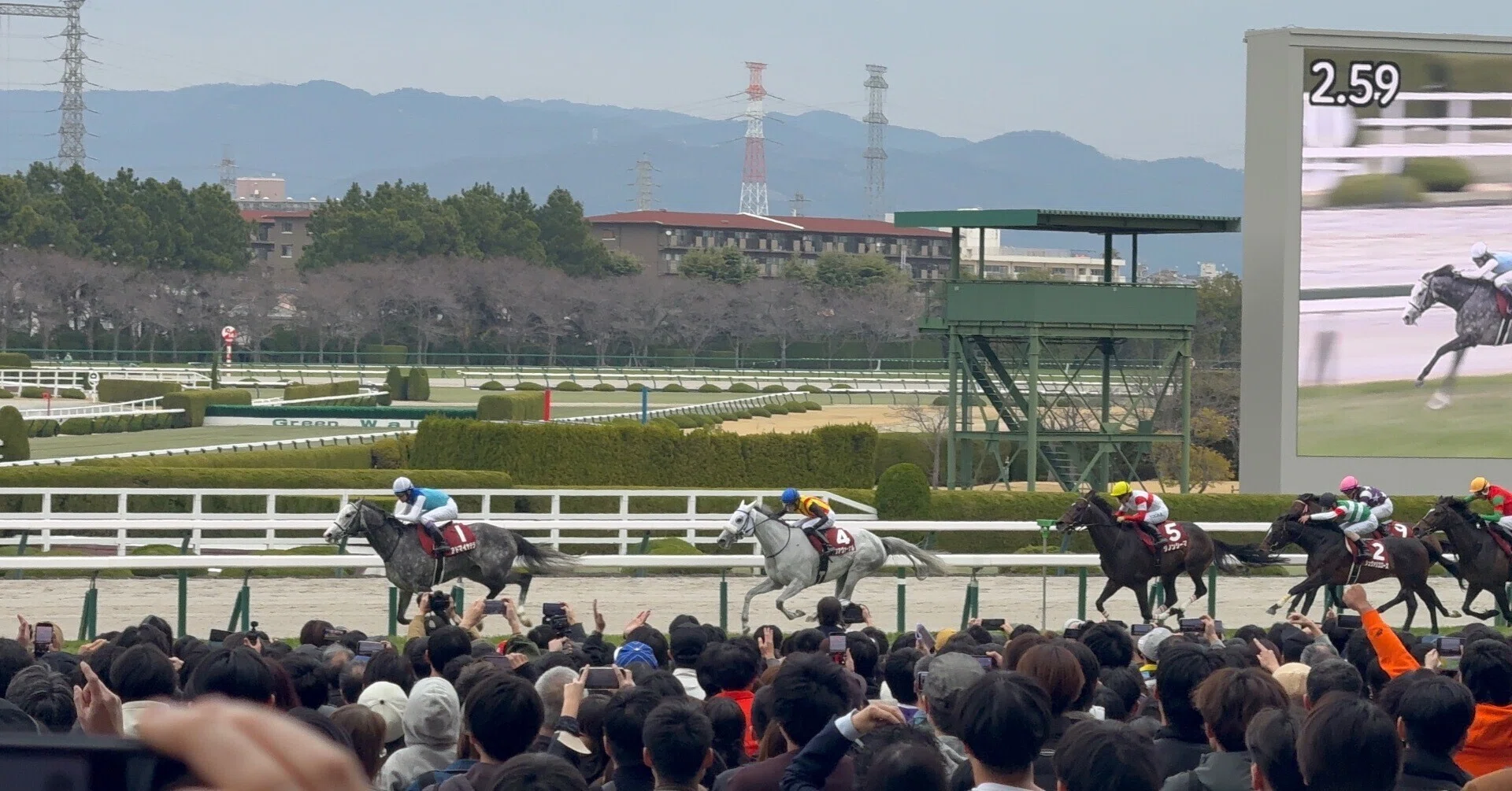 阪神大賞典回顧】アドマイヤテラ驚異のレコード3.02.0‼️武豊の完璧な