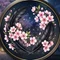 桜羽