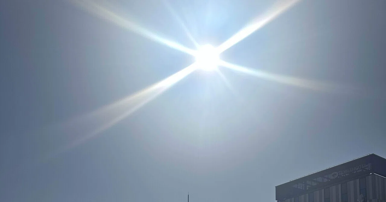 Why Dark Spots Become More Noticeable in Spring｜わたるl体の仕組み解説