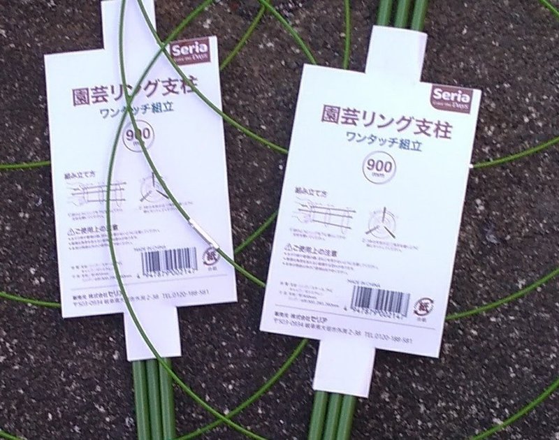 完全初心者がミニトマトとピーマンを育ててみる １６日目 ２０日目 星心 Note