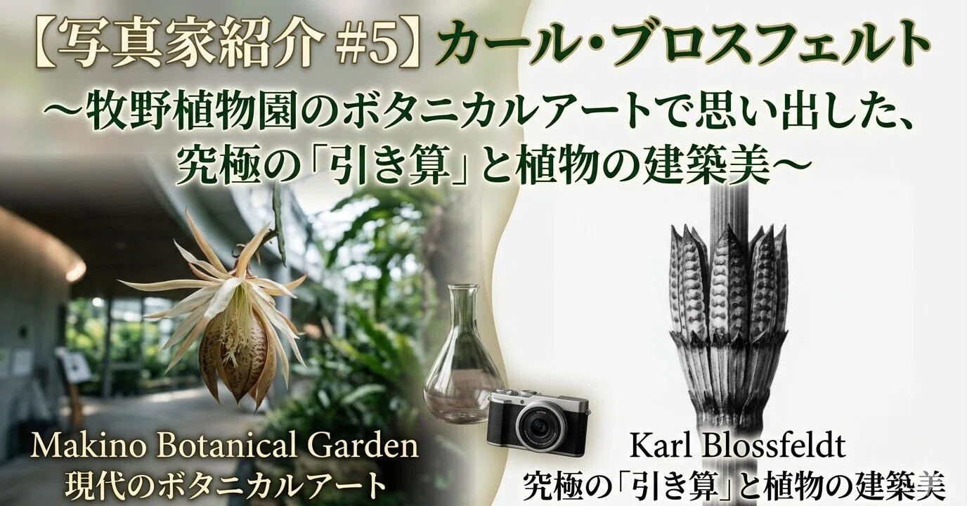 写真家紹介 #5】カール・ブロスフェルト 〜牧野植物園のボタニカル