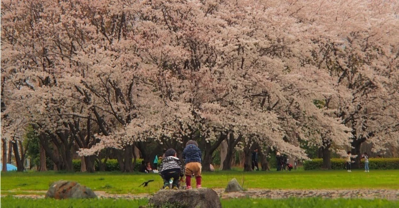 花がさき緑が萌え、その先熱波|takki
