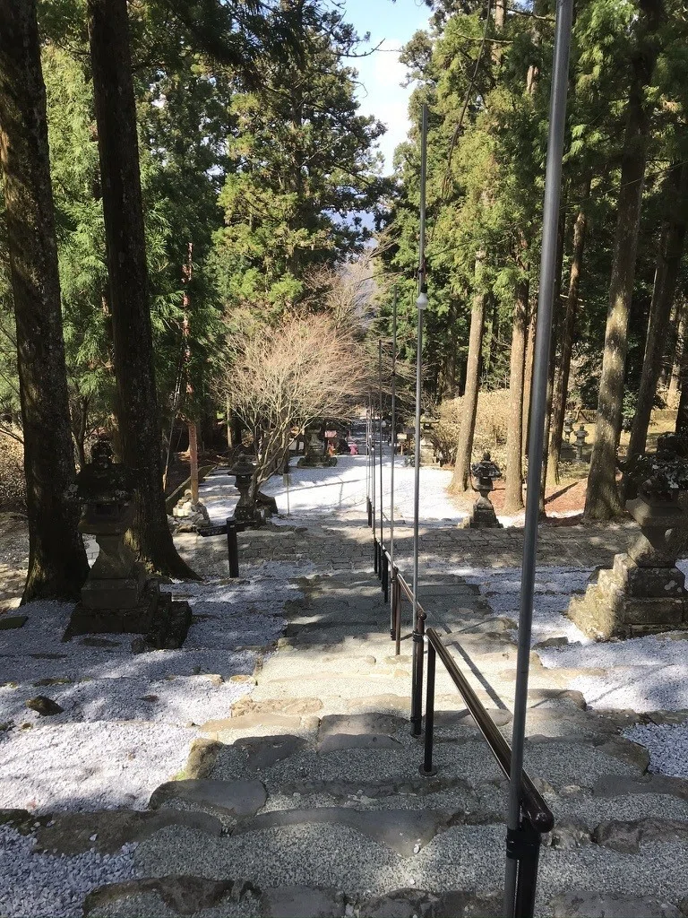 画像15