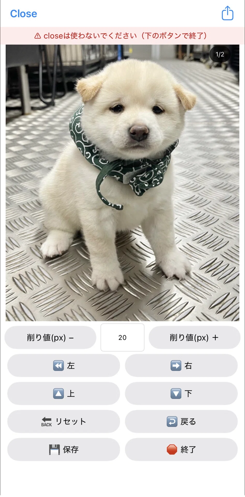 画像