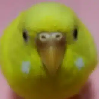 魔神ホルス