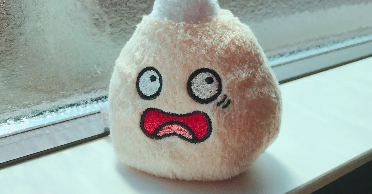 自己紹介｜ayakomiyamoto
