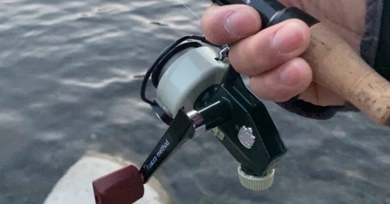 カーディナルのドラグとメンテナンスについての話｜zacco method研究所🇯🇵