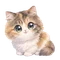 Minatuki