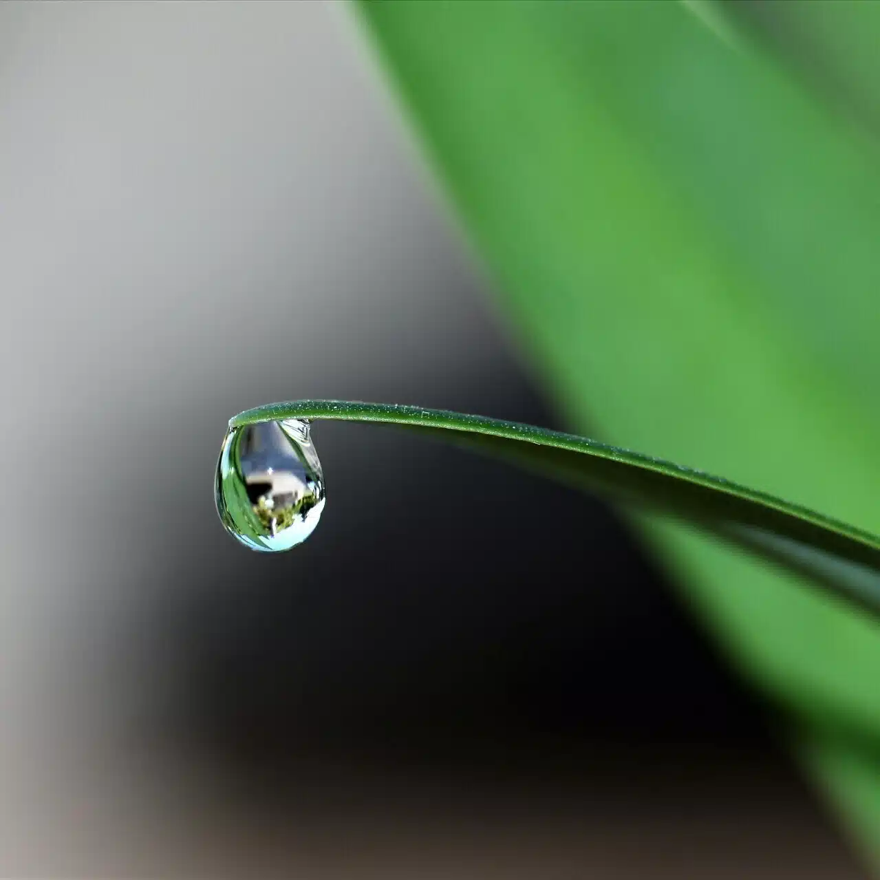雨宮　いおり
