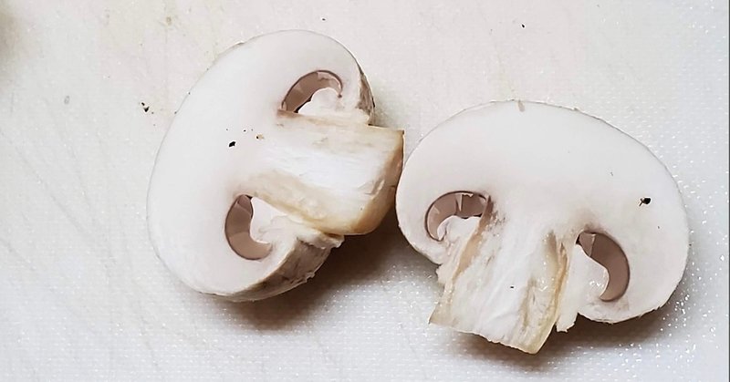 最新 マッシュルーム 断面 マッシュルーム 断面 画像