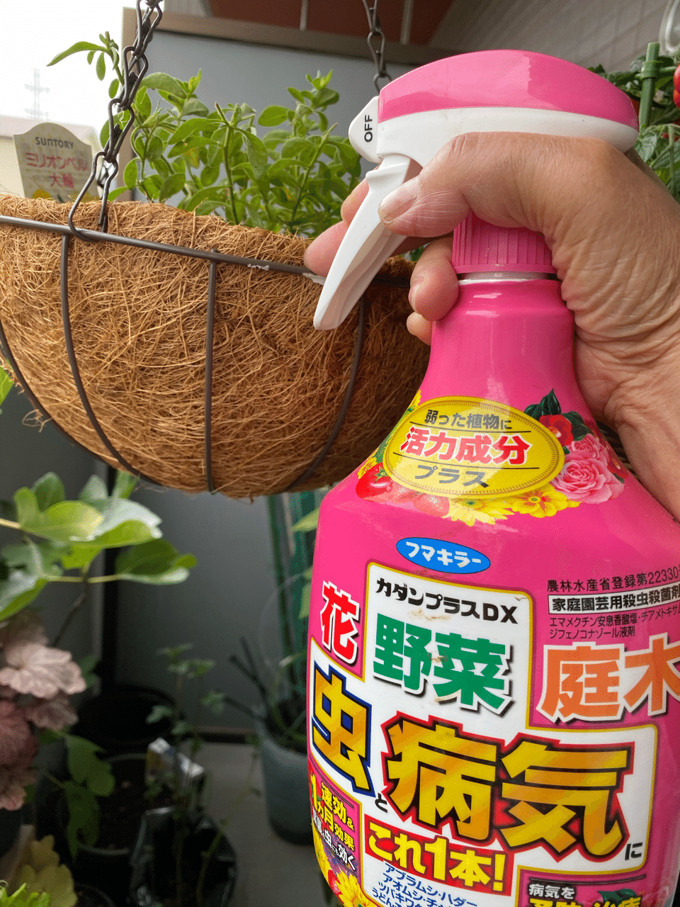 訳ありセール格安） <br>フマキラー<br>カダンプラスＤＸ<br>４５０ＭＬ