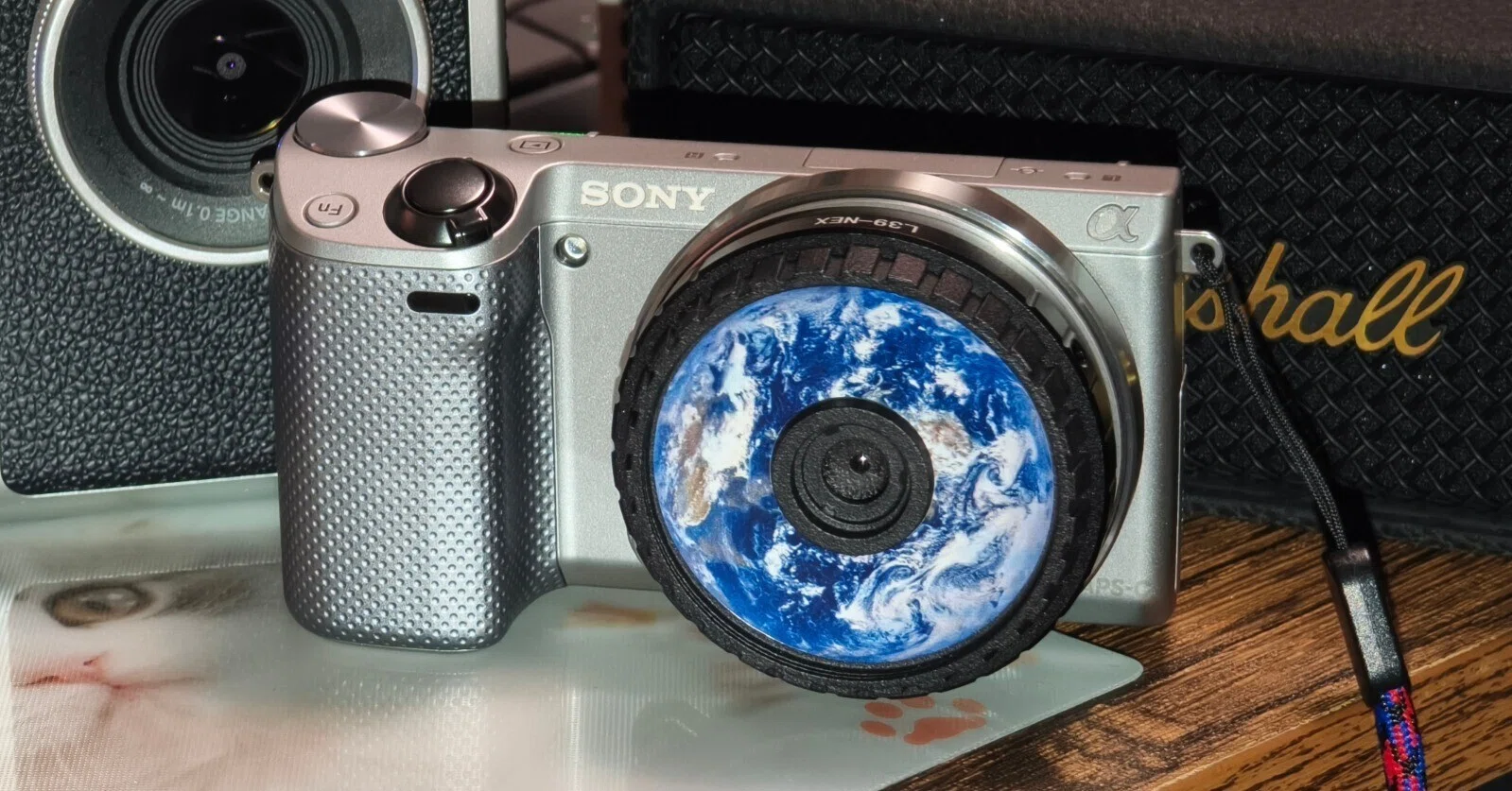 NEX-5Rと単焦点レンズで遊ぼう｜NekoSafari